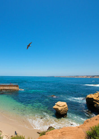 Image of La Jolla cove for locals guide