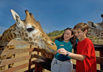 Image of zookeeper and child petting giraffe at San Diego Zoo Safari Park