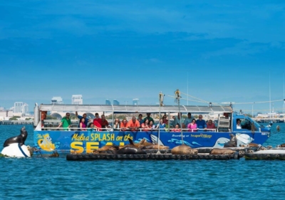 Smiling patrons leaning over the side of a floating San Diego Seal vehicle observing sea lions basking in the sun up close