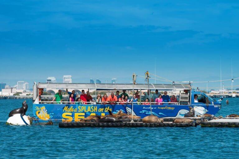 Smiling patrons leaning over the side of a floating San Diego Seal vehicle observing sea lions basking in the sun up close