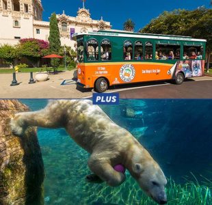 San Diego trolley tour and Zoo package