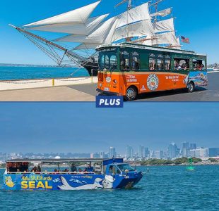 Trolley Tour and seal tour package