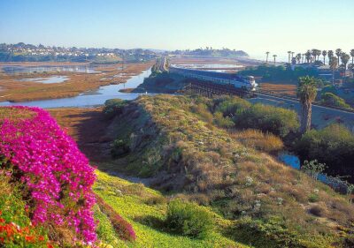 Cardiff State Beach