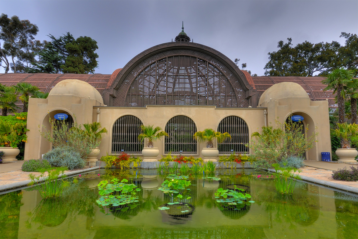 Lily Pond