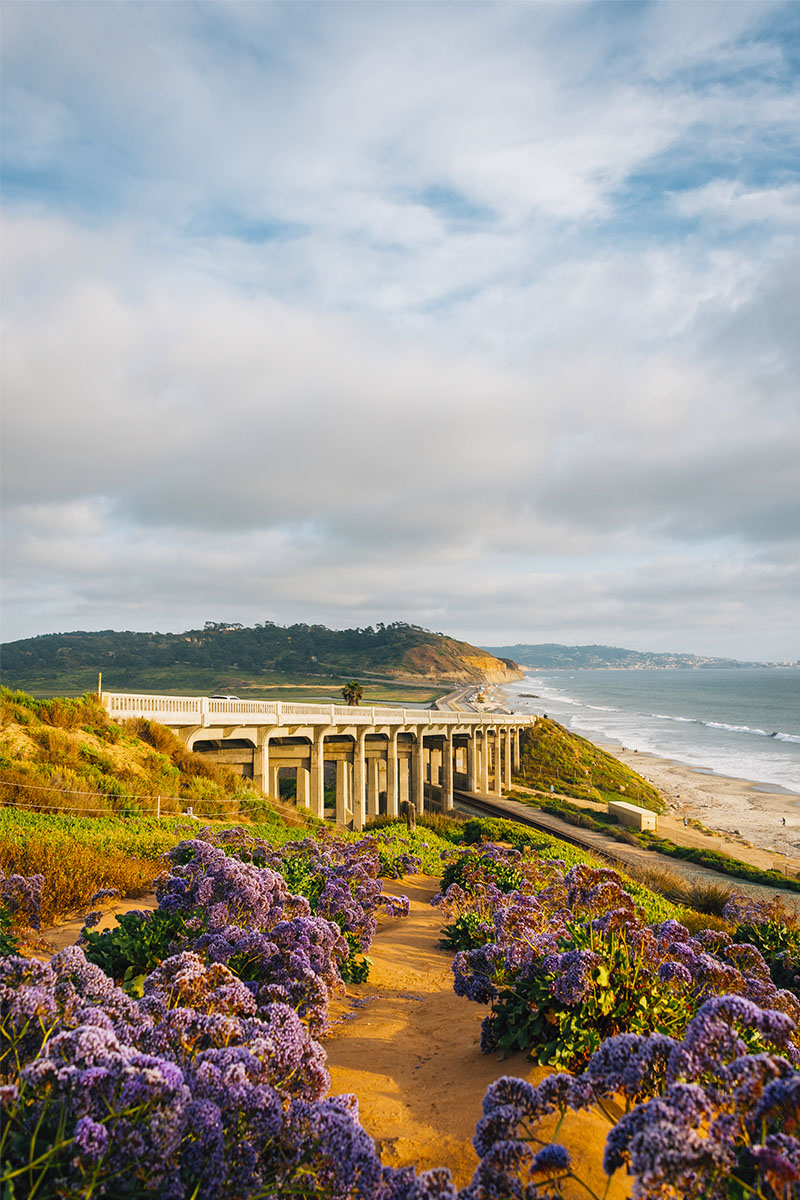 Torrey Pines State Natural Reserve San Diego