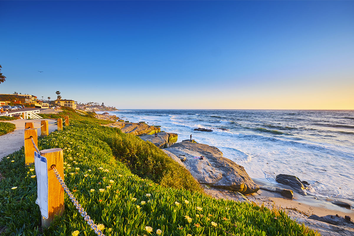 Windansea Beach San Diego